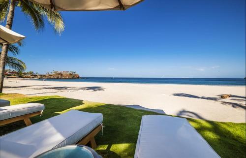 Palms 27