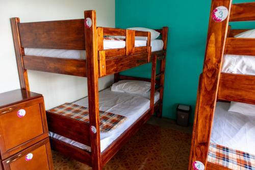 Hostal Hostel Bouganvilia Bed And Breakfast