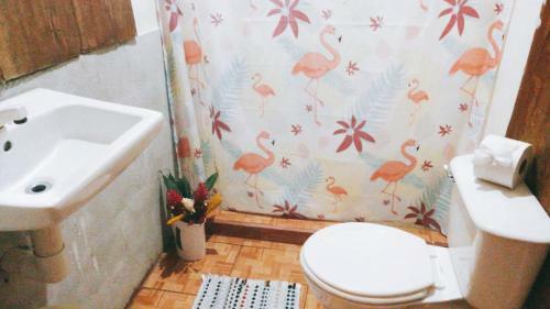 Bed & Breakfast Posada Rio Celeste In