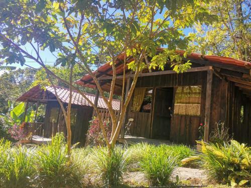 Hotel Caba�as Bongos