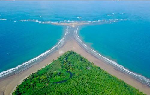 Hotel Ballena Paradise