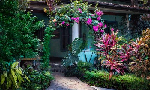 Hostal Moonshadow Costa Rica