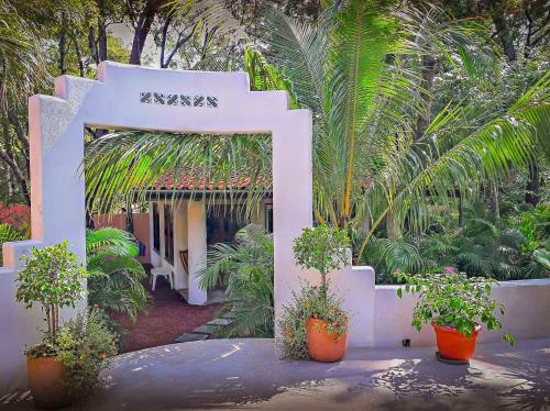 Hostal Moonshadow Costa Rica