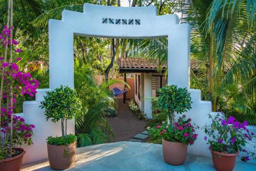 Hostal Moonshadow Costa Rica
