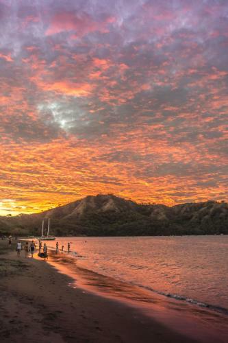 Hostal Moonshadow Costa Rica