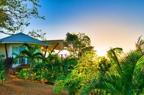 Hotel Mikado Natural Lodge