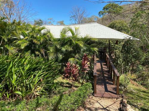 Hotel Mikado Natural Lodge