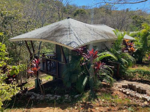Hotel Mikado Natural Lodge