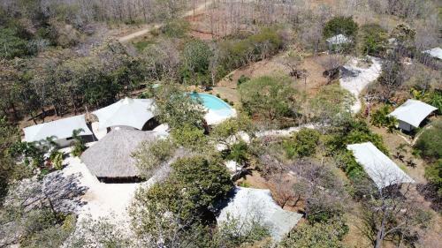 Hotel Mikado Natural Lodge