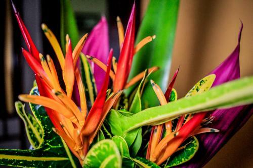 Marea Brava Hotel & Villas Jaco Cr