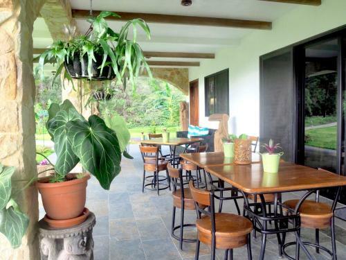 Hostal Blue Jungle Lodge