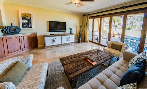 Palms 24