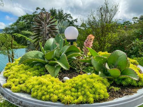 Hotel Retiro Del Lago Arenal Lodge