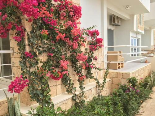 Apartamento Terra Kriola