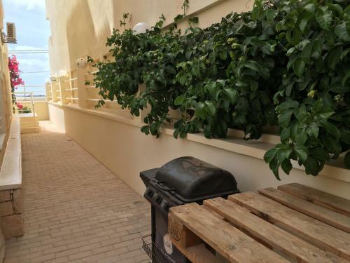 Apartamento Terra Kriola
