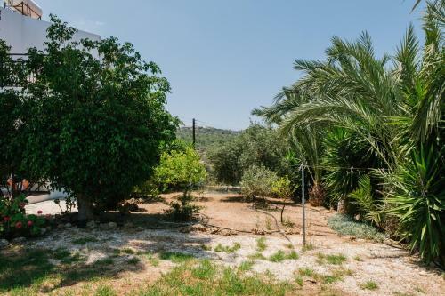 Aphrodite 3 Bedroom Villa