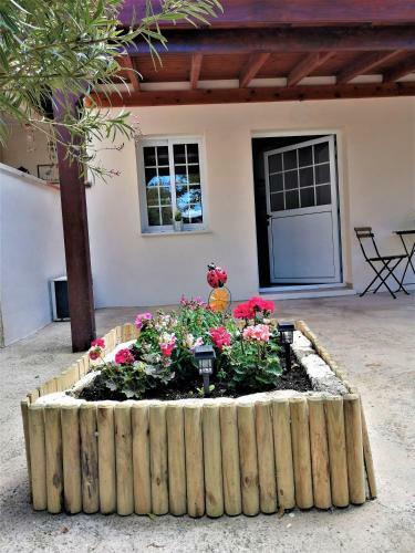 Lemon Tree Courtyard