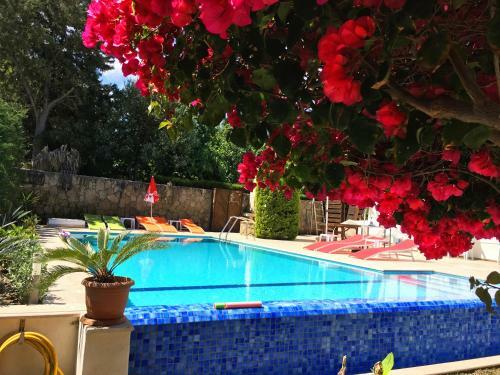 Villa Deluxe
