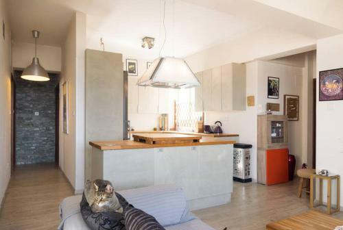 Apartamento Vas' Penthouse
