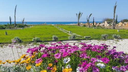 Villa In Mavroli Sleeps 8 With Pool And Air Con