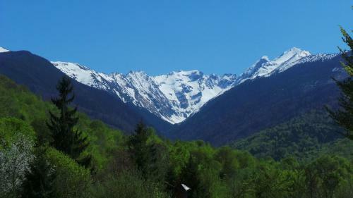Casa Ada