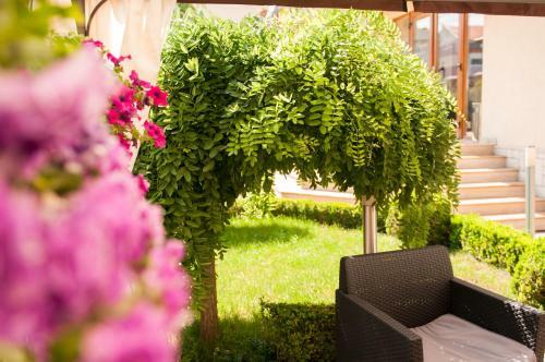 Hostal Pensiunea Ingrid