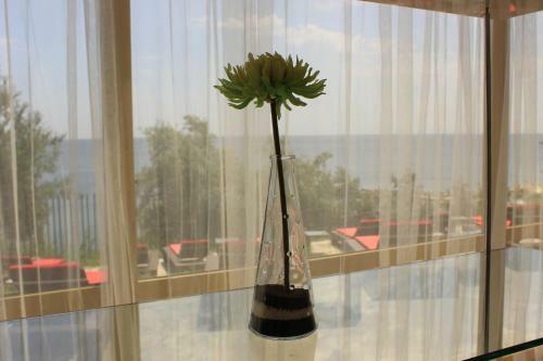Steaua De Mare Luxury Apartments