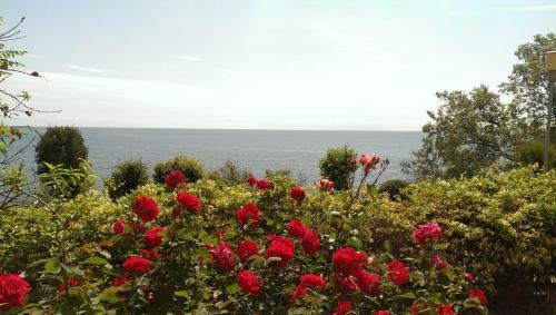 Villa Vila Bella Vista