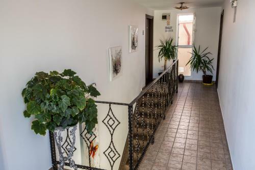 Hostal Vila Pretty Woman