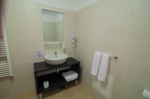 Hotel Pensiunea Aristocratis