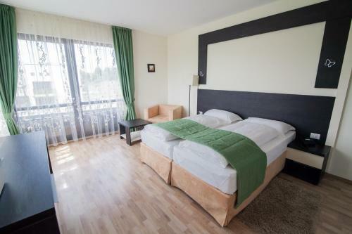 Hotel Pensiunea Aristocratis