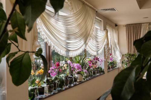 Hotel Pensiunea Aristocratis