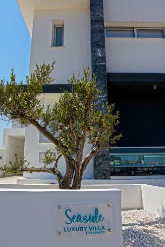 Seaside Villa