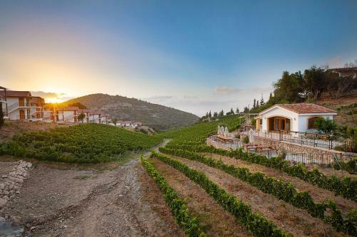Gillham Vineyard Hotel