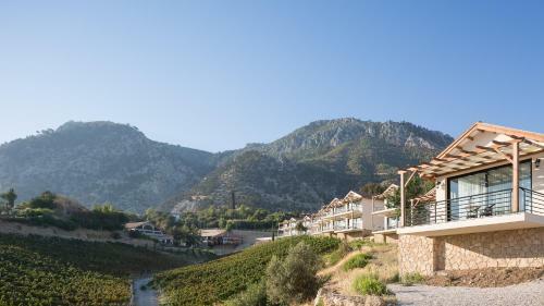 Gillham Vineyard Hotel