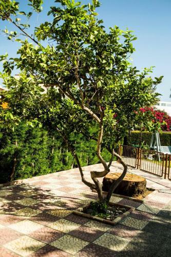 Villa Liuda,3 Bedroom With Compool