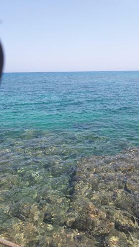 Kasgar Court Hotel
