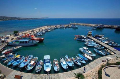 Luxury 4 Bedroom Villa With Private Pool, Protaras Villa 1237