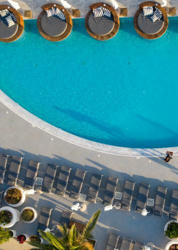 Hotel The King Jason Protaras - Designed For Adults