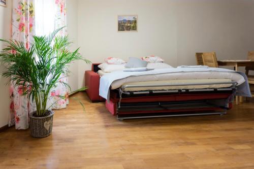 Hostal Penzion R??e