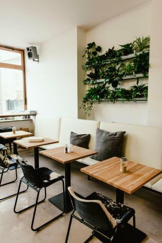 Hostal Wake Up Wellness Hostel
