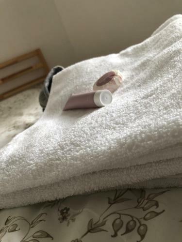 Hostal Pension S L�skou Karel Bezd?z