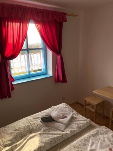 Hostal Pension S L�skou Karel Bezd?z