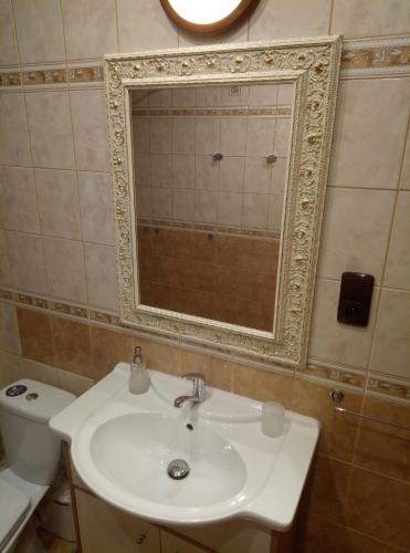 Kamil Apartments, Premium