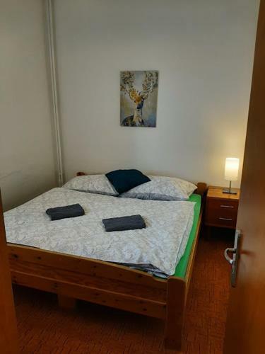 Hostal Penzion Pod Svahem