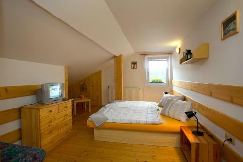Hostal Penzion Pod Svahem