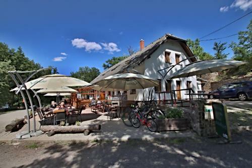 Hostal Penzion L�vka