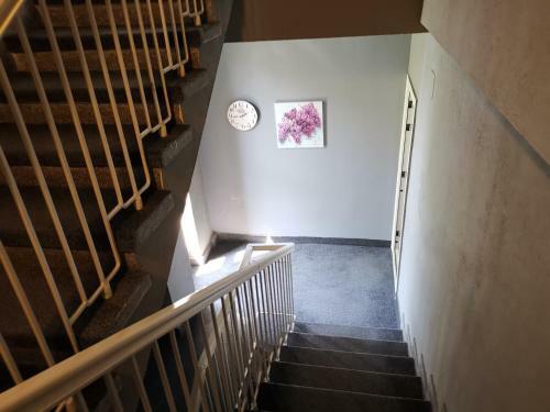 Apartamente Sara 2013