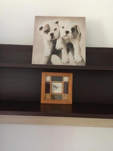 Litoral Constanta Apartment