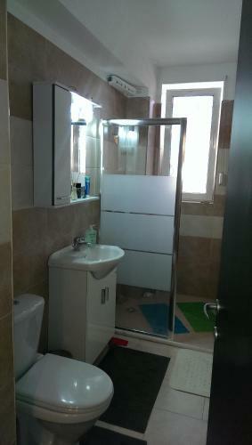 Apartamento Studio Nicu